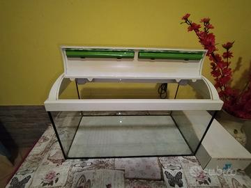 acquario 60lt in vetro