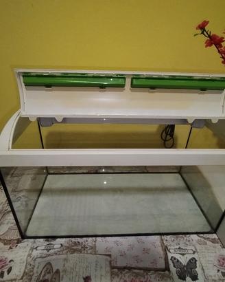 acquario 60lt in vetro