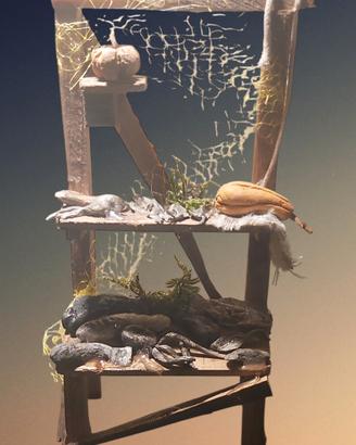 presepe Banco pesce