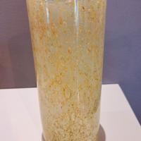 Vaso Murano Barovier e Toso firmato 