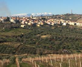 RIF 105 Lotto di terreno per villa Bifamiliare