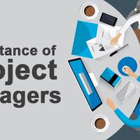 TECHNICAL PROJECT MANAGER 