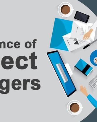 TECHNICAL PROJECT MANAGER 