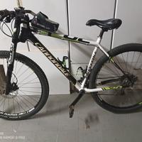 Mountain bike CANNONDALE 29 "