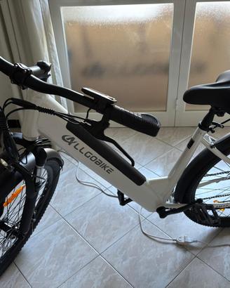 Bici elettrica