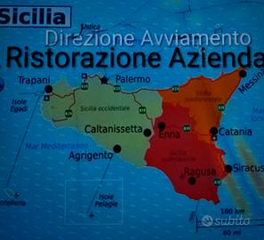 Direttore Manager Operativo Pubblico Esercizio 