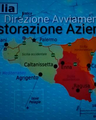 Direttore Manager Operativo Pubblico Esercizio 