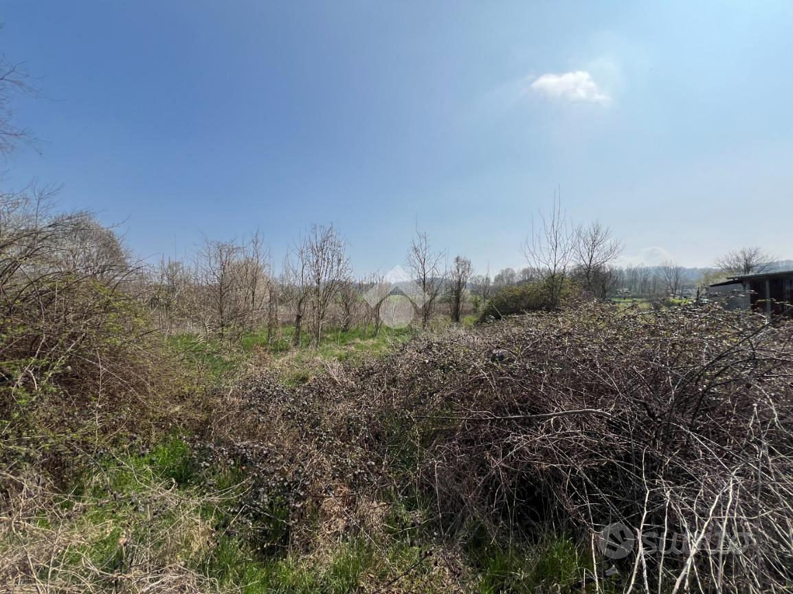 TER. AGRICOLO A ROPPOLO - Altro