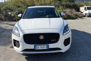 Jaguar e pace