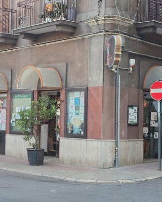Rivendita di alimentari e prodotti caseari
