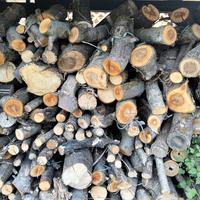 legna da ardere 13€ /quintale