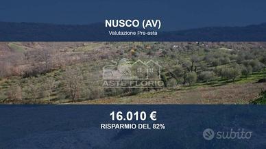 Immobile in asta di 33820 m² a Nusco