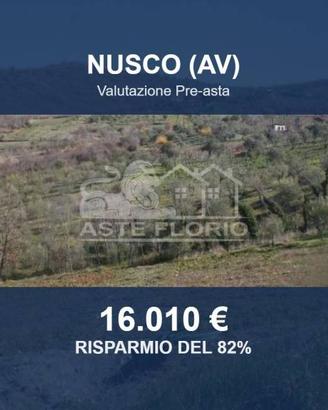 Immobile in asta di 33820 m² a Nusco