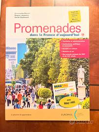 Promenades: dans la France d’aujourd’hui