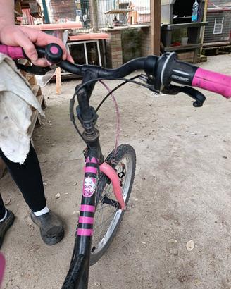 Bicicletta bambini 