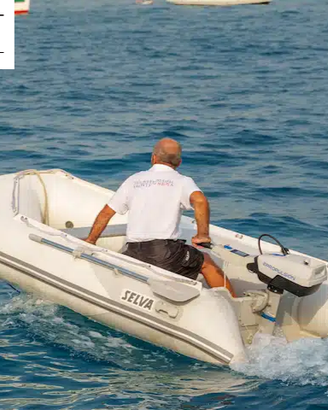 Selva Tender T 320 VIB + MOTORE ELETTRICO