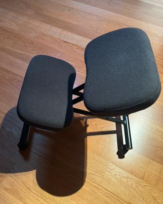 Sedia ergonomica IKEA EIFRED