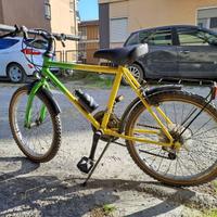 bicicletta
