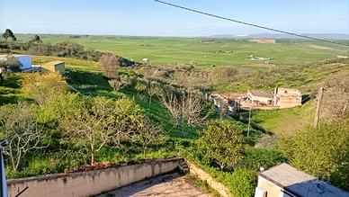Terreno agricolo -Uliveto e Frutteto