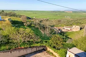 Terreno agricolo -Uliveto e Frutteto