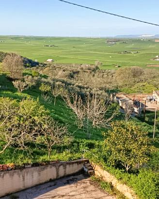 Terreno agricolo -Uliveto e Frutteto
