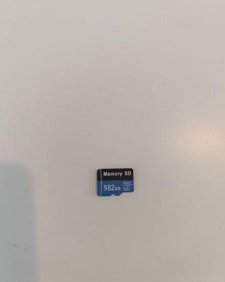 Micro SD 1TB (982GB) – Scheda memoria grande capac