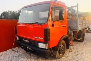 PER EXSPORT  CAMION CON GRU RIBALTABILE TRILATERAL