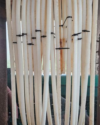 Scuotitori Vendemmiatrice Pellenc Diamant 9056