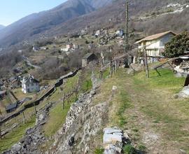 Casa Indipendente Domodossola [MarDom0424VRG]