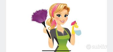 Pulizie in case private