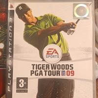 Tiger Woods 2009