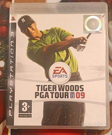 Tiger Woods 2009