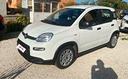 fiat-panda-1-0-hybrid-city-life-ok-neop-