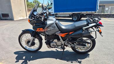 Honda dominator 