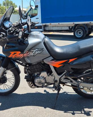 Honda dominator 
