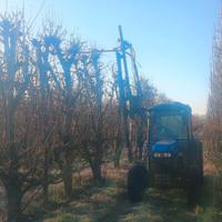 POTATRICE FRUTTETI FAMA