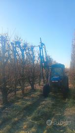 POTATRICE FRUTTETI FAMA