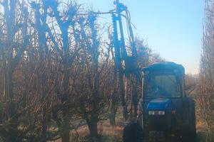 POTATRICE FRUTTETI FAMA