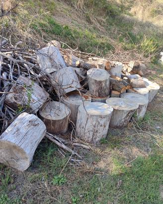 Tronconi di legno 