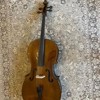 Violoncello Stentor