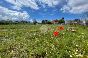 TER. AGRICOLO A SCAFATI