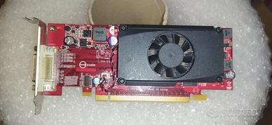 scheda video 512 mb 