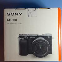 Sony a6100 + Obiettivo 16-50mm OSS II