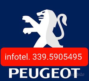 Ricambi usati peugeot renault citroen : freccia sx