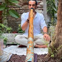Didgeridoo - dal vivo e online