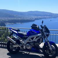 Suzuki sv 1000