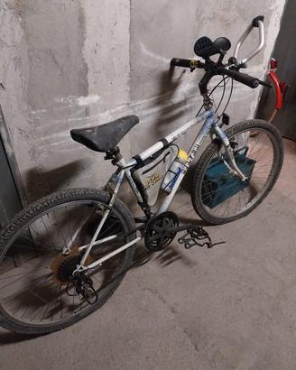 Bicicletta mountain bike