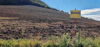 Vendita terreno agricolo