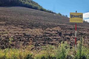 Vendita terreno agricolo