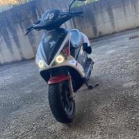 Benelli 491 - 2022